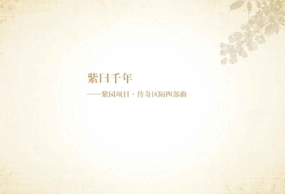 紫园-紫曰千年策略案_第2页