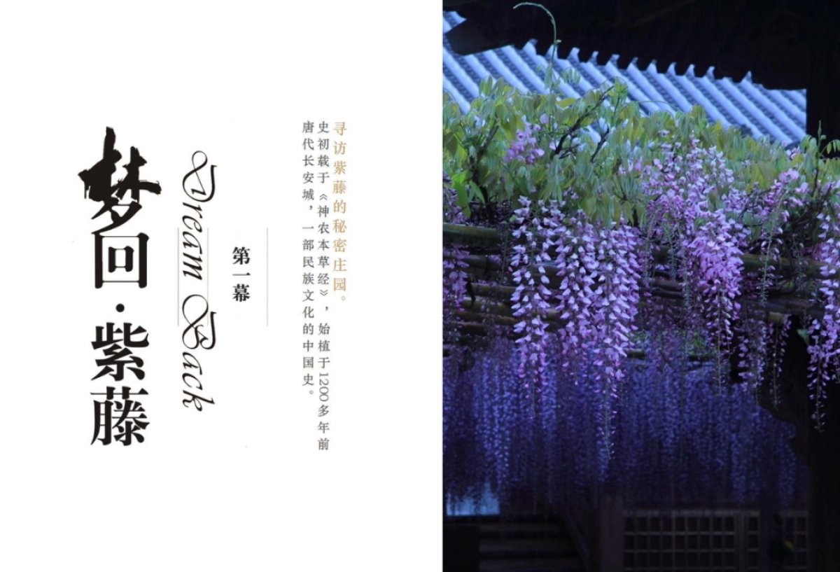 紫园-紫曰千年策略案_第4页