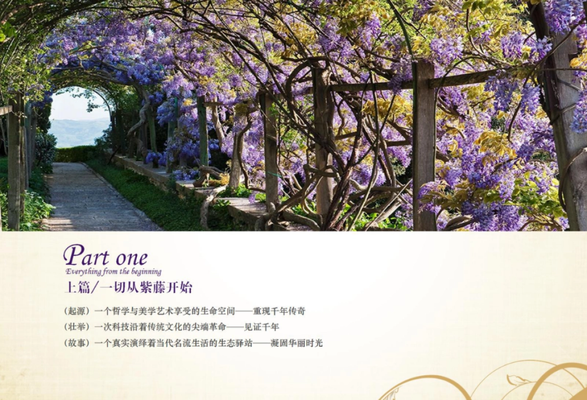 紫园-紫曰千年策略案_第5页