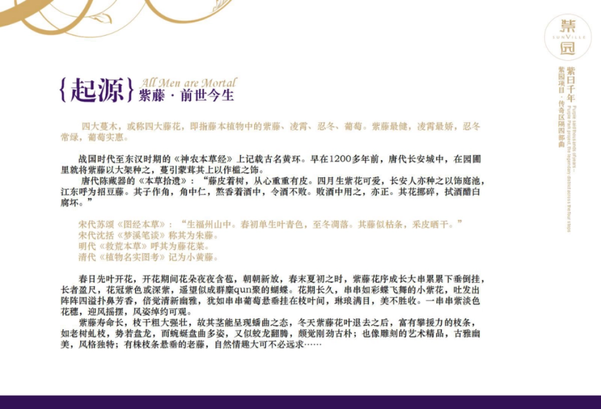 紫园-紫曰千年策略案_第6页