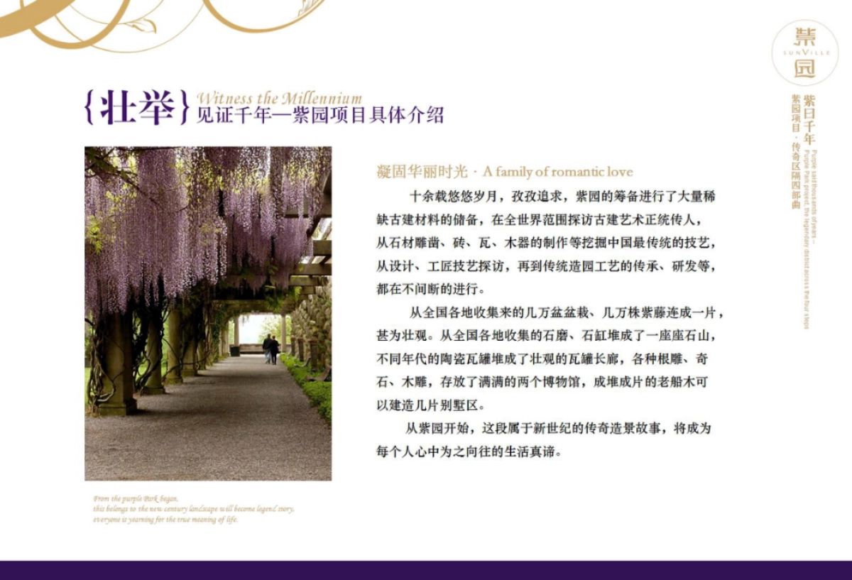 紫园-紫曰千年策略案_第7页