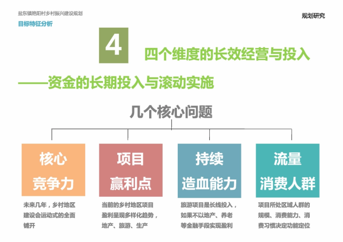 盐东艳阳村乡村振兴建设规划（上海都市）_第10页