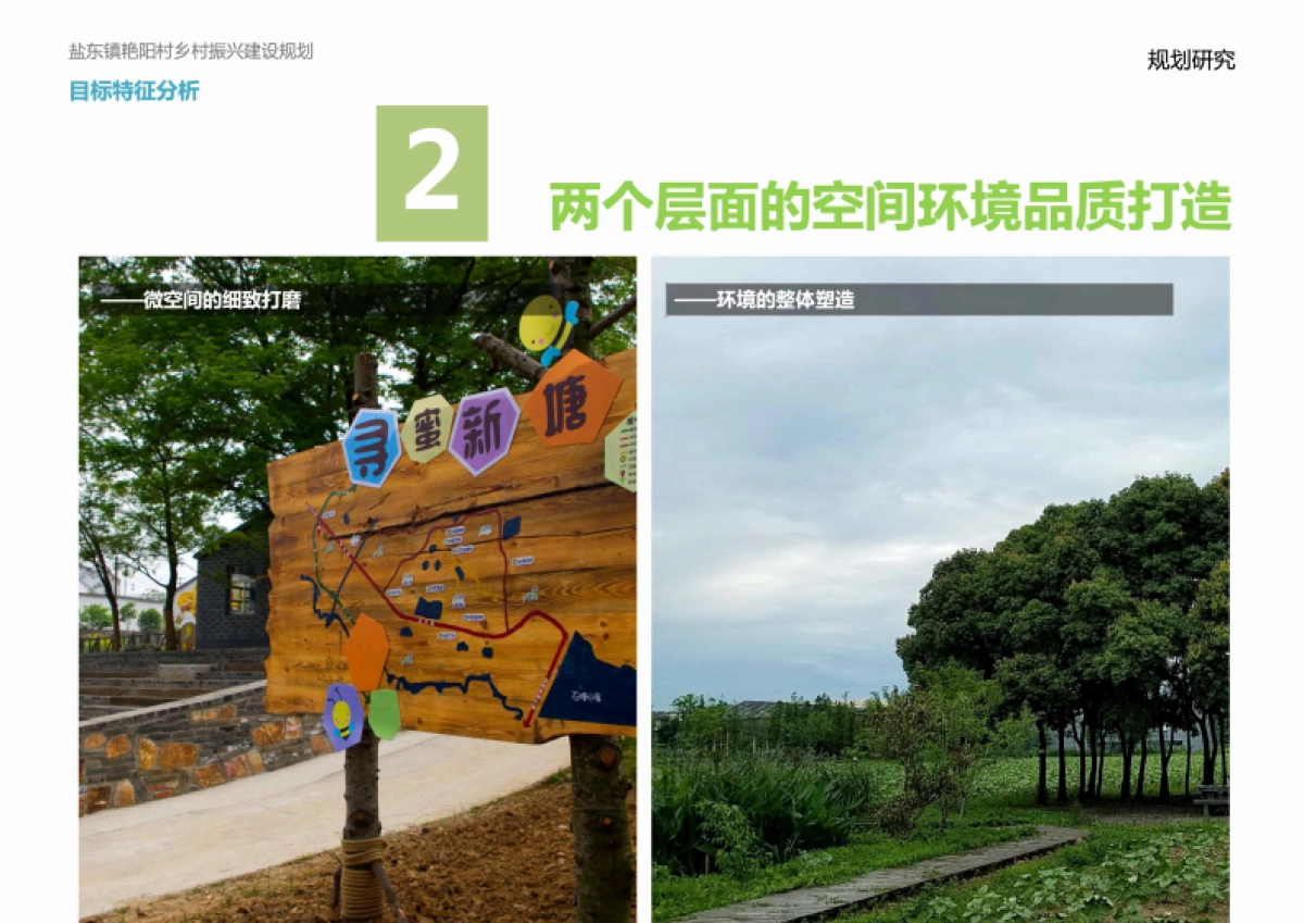 盐东艳阳村乡村振兴建设规划（上海都市）_第5页