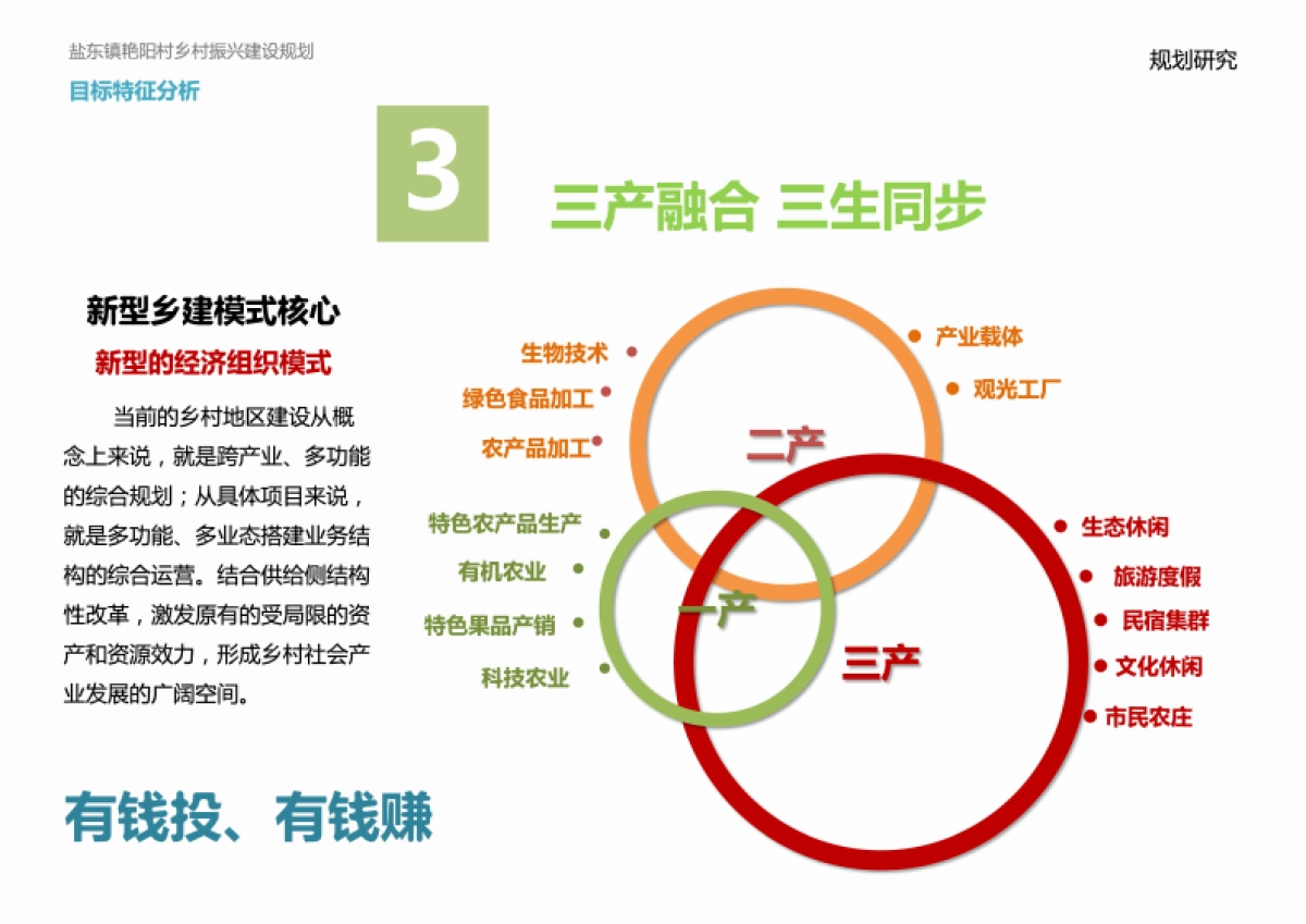 盐东艳阳村乡村振兴建设规划（上海都市）_第6页