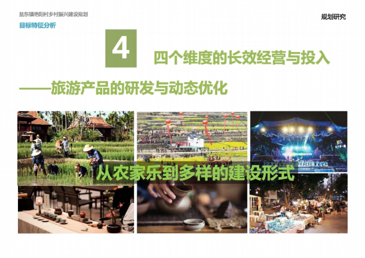 盐东艳阳村乡村振兴建设规划（上海都市）_第9页