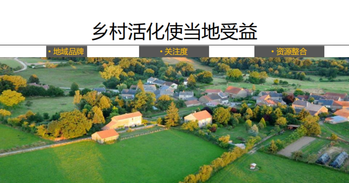 远见视角下的新田园主义_第10页