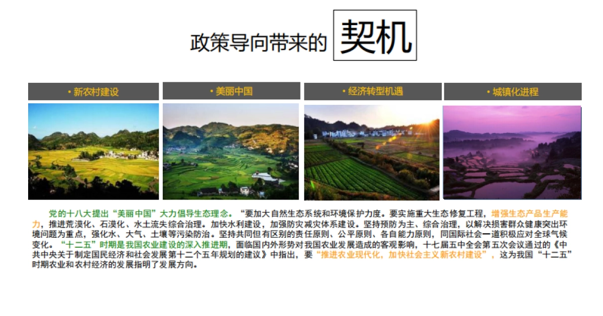 远见视角下的新田园主义_第4页