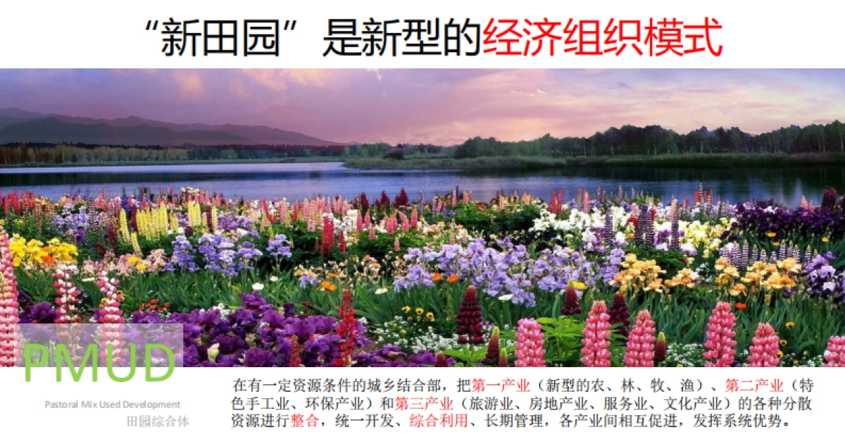 远见视角下的新田园主义_第6页