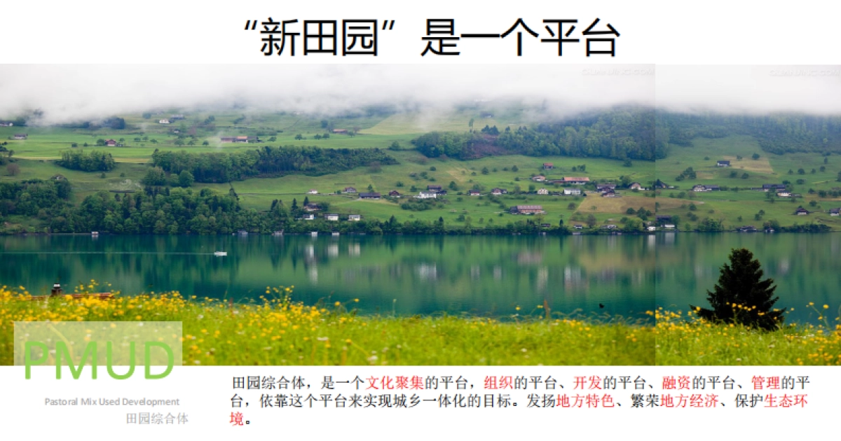 远见视角下的新田园主义_第8页