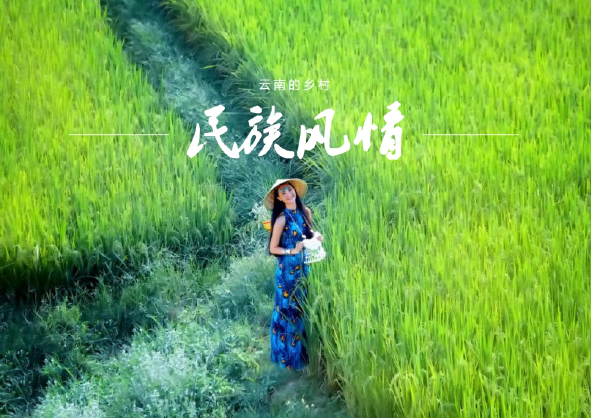 云南九乡乡村旅游规划_第8页