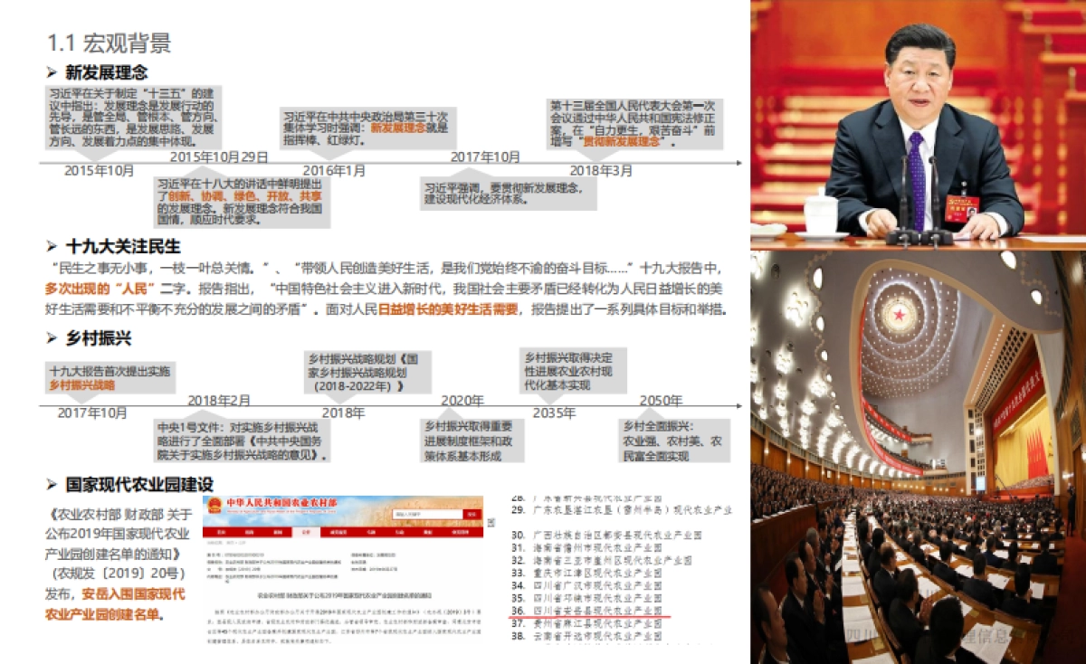 中国安岳柠檬小镇田园综合体总体规划_第4页