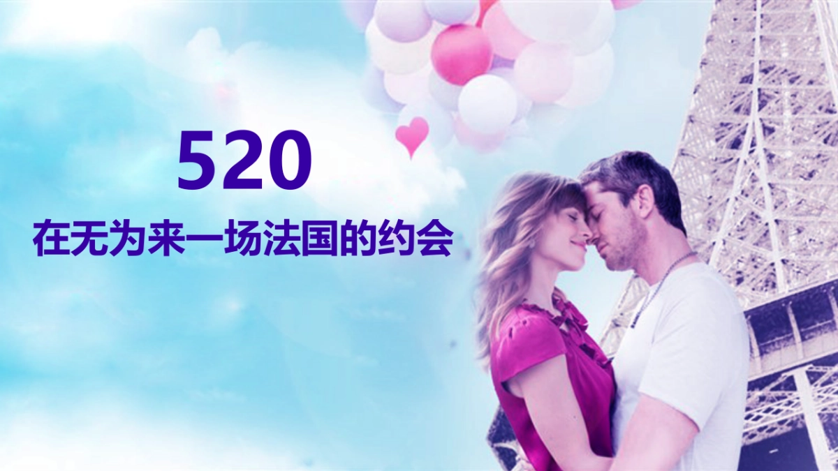 2017绿城玫瑰园景观示范区开放活动策划案_第3页