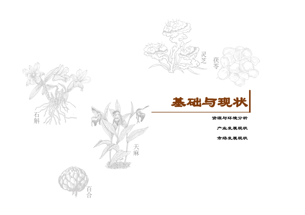 安徽霍山中医药健康旅游专项规划_第10页