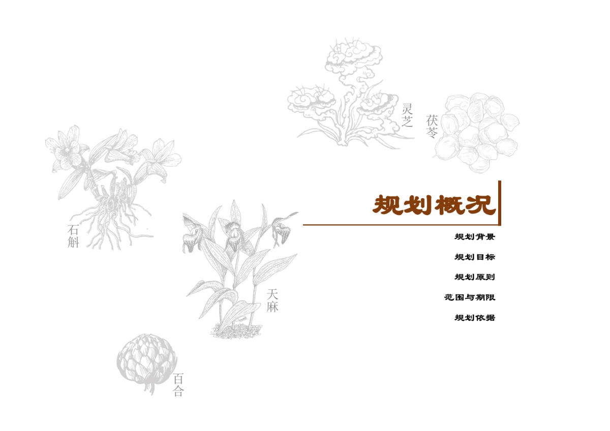 安徽霍山中医药健康旅游专项规划_第4页