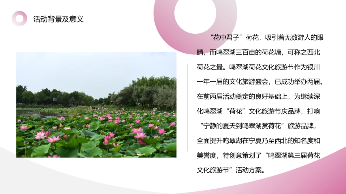 鸣翠湖第三届荷花文化旅游节【家“荷”万事兴】主题活动策划方案_第4页