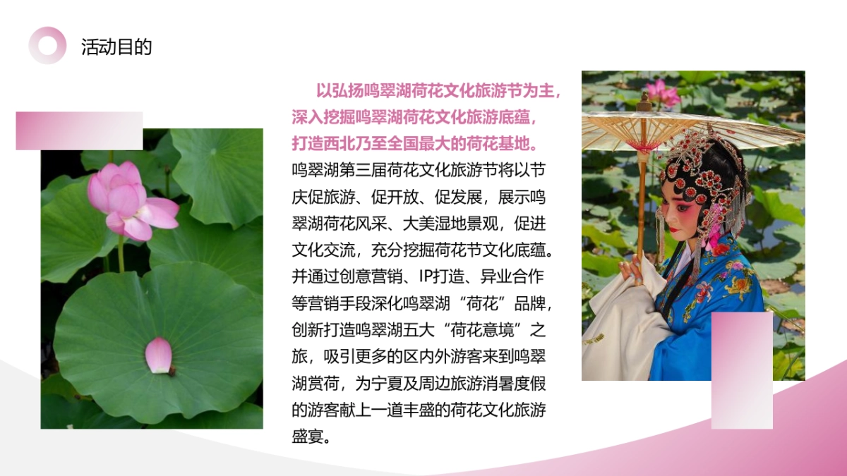 鸣翠湖第三届荷花文化旅游节【家“荷”万事兴】主题活动策划方案_第5页