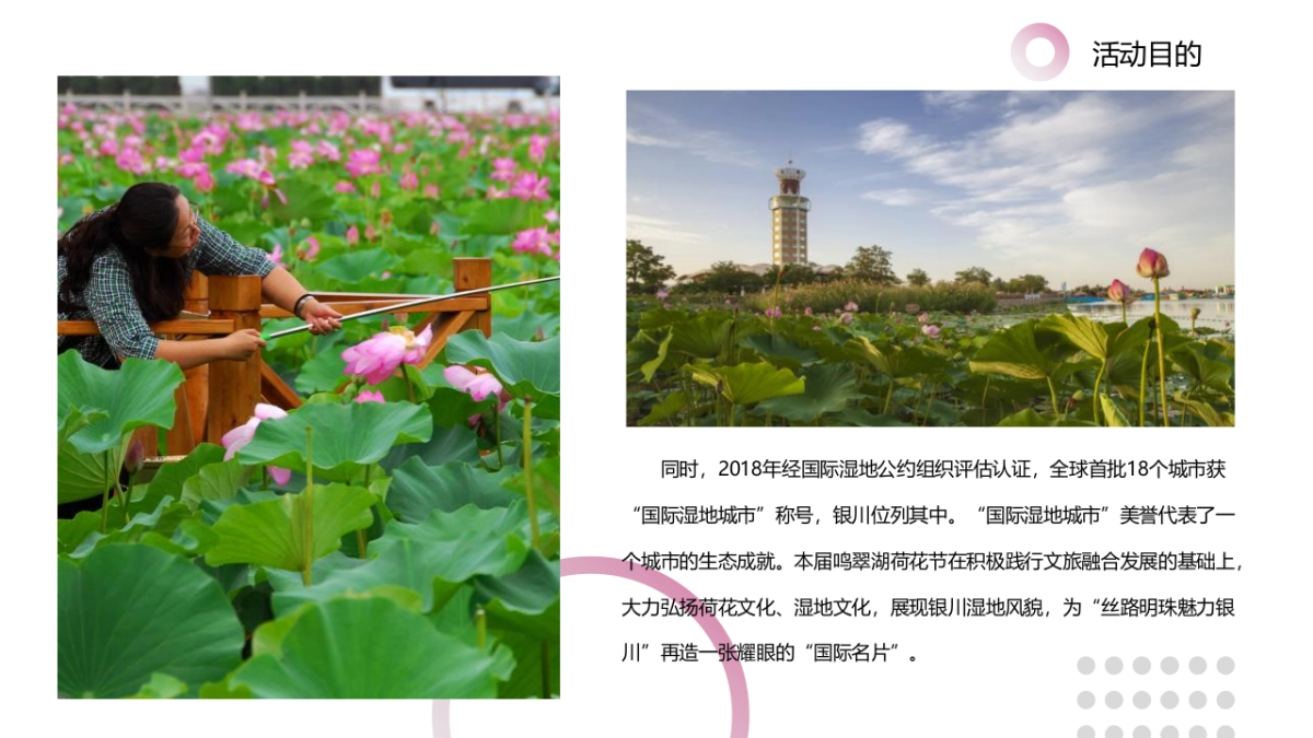 鸣翠湖第三届荷花文化旅游节【家“荷”万事兴】主题活动策划方案_第6页