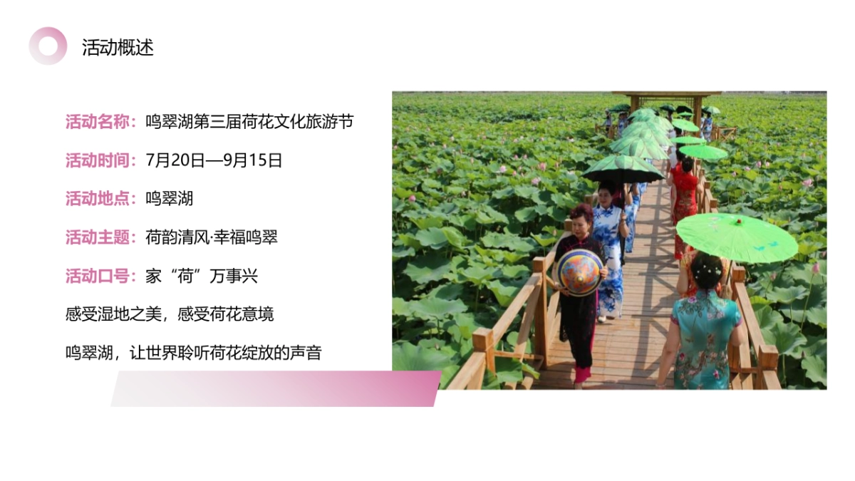 鸣翠湖第三届荷花文化旅游节【家“荷”万事兴】主题活动策划方案_第9页