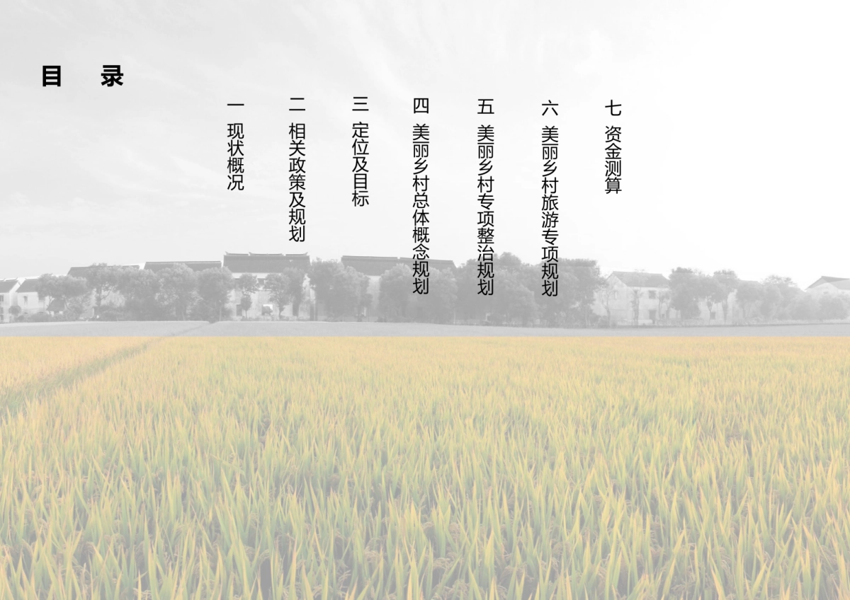 上海金山吕巷美丽乡村规划_第2页