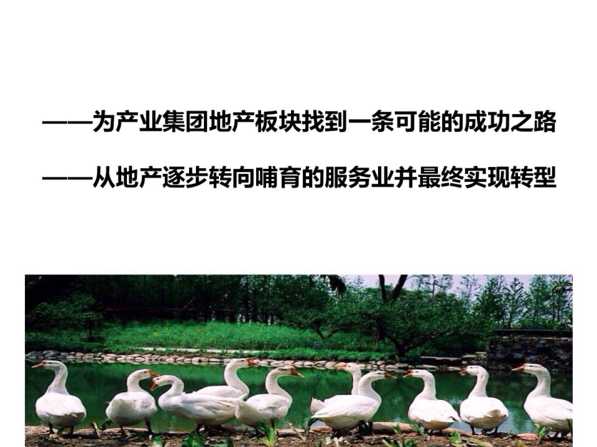 田园东方商业模式介绍_第2页