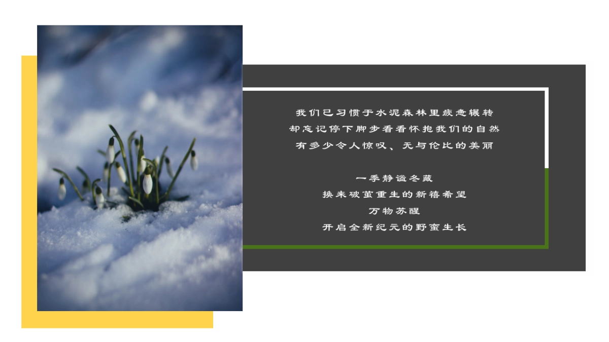 2019宁波天一国际购物中心春季美陈方案_第2页