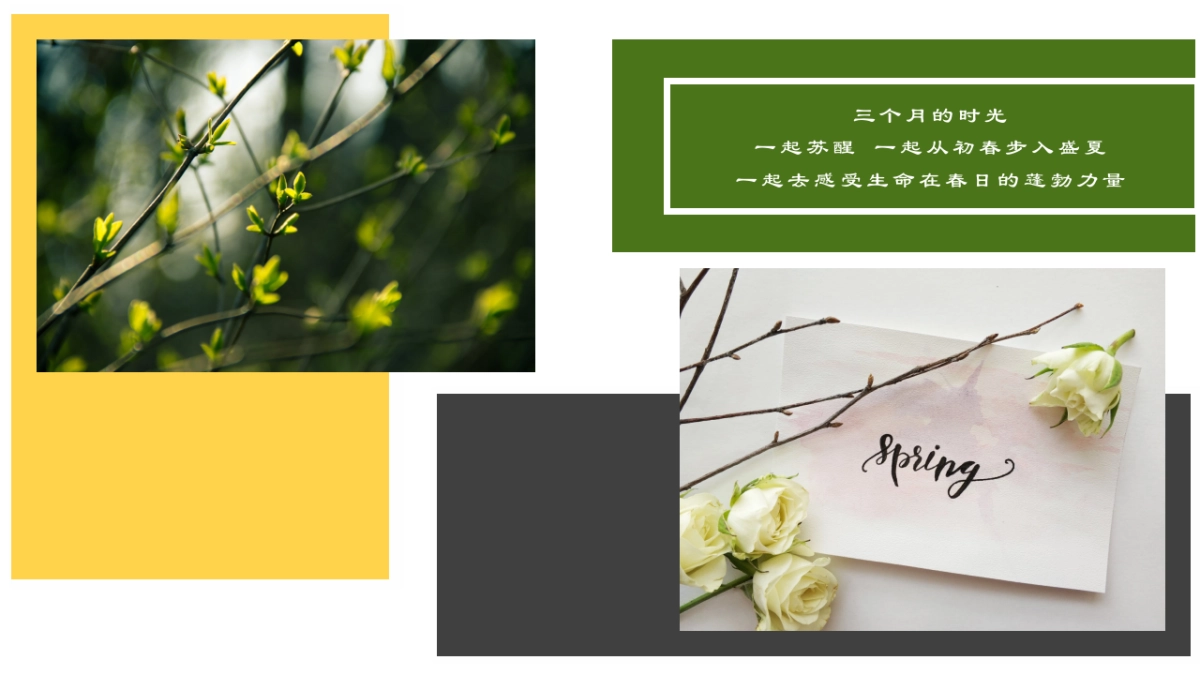 2019宁波天一国际购物中心春季美陈方案_第3页