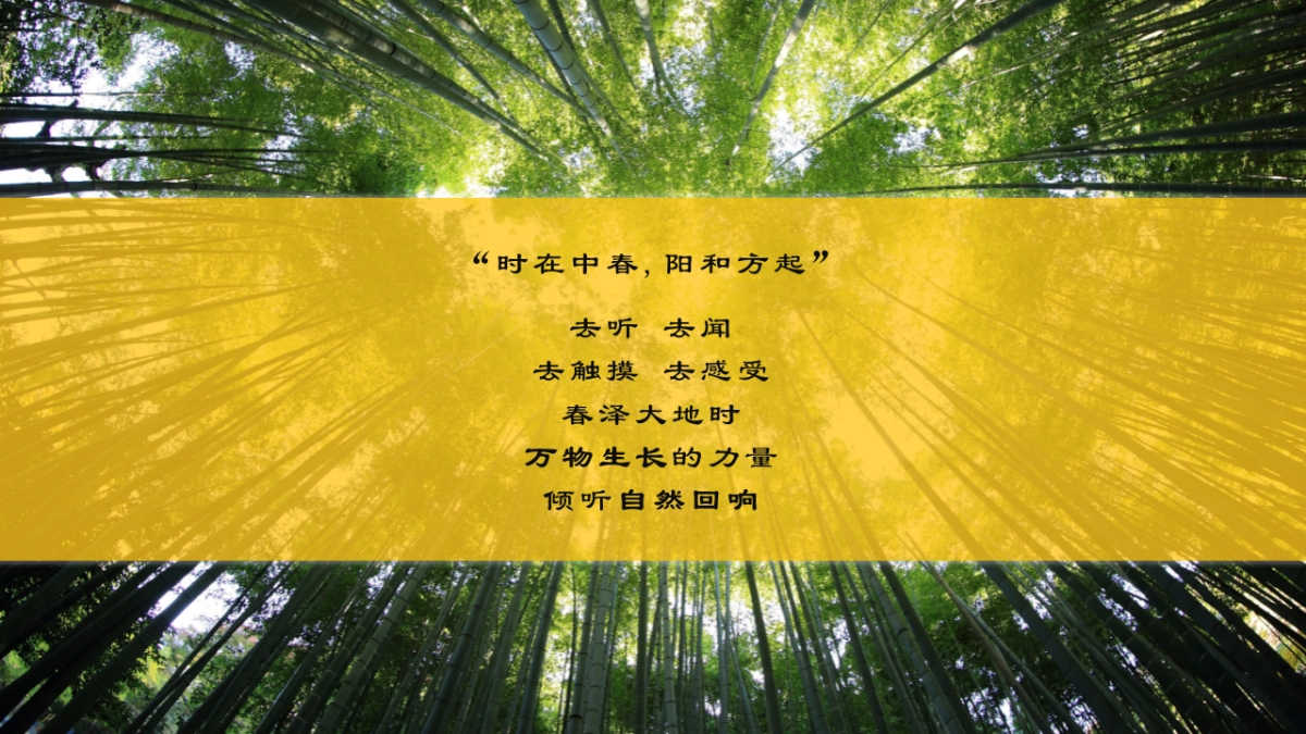 2019宁波天一国际购物中心春季美陈方案_第4页