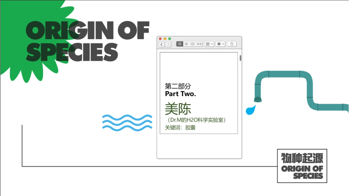 2020商业广场周年庆（物种起源主题）美陈活动方案_第6页