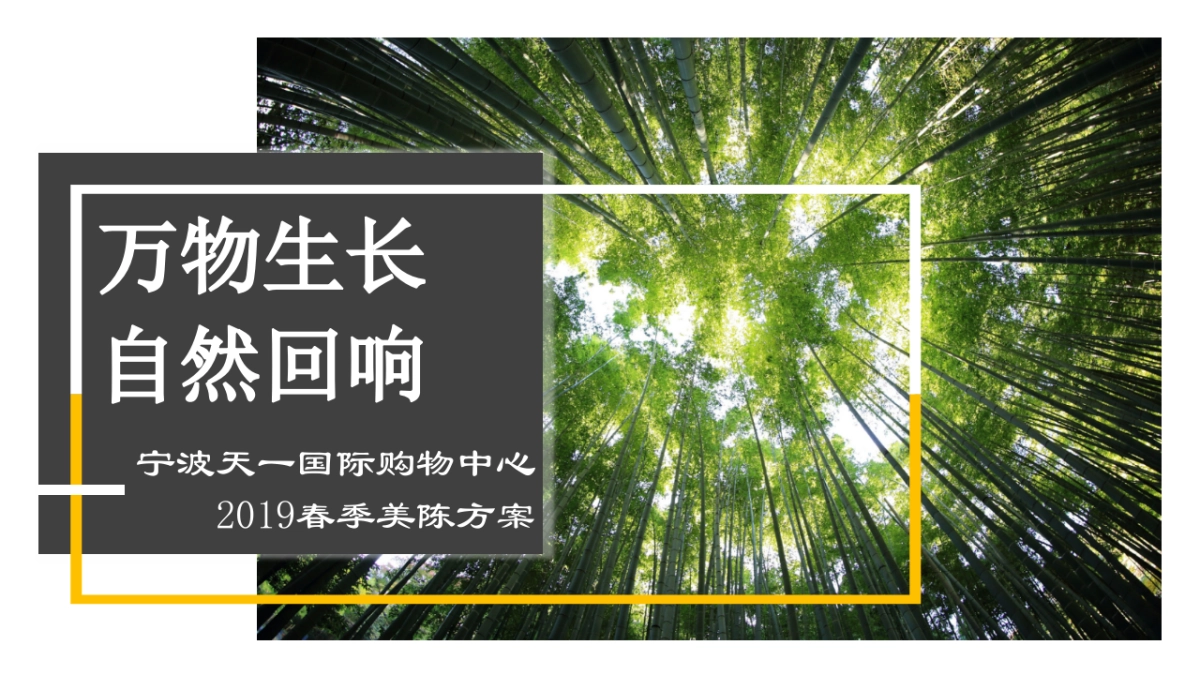 宁波天一国际购物中心春季美陈方案_第1页