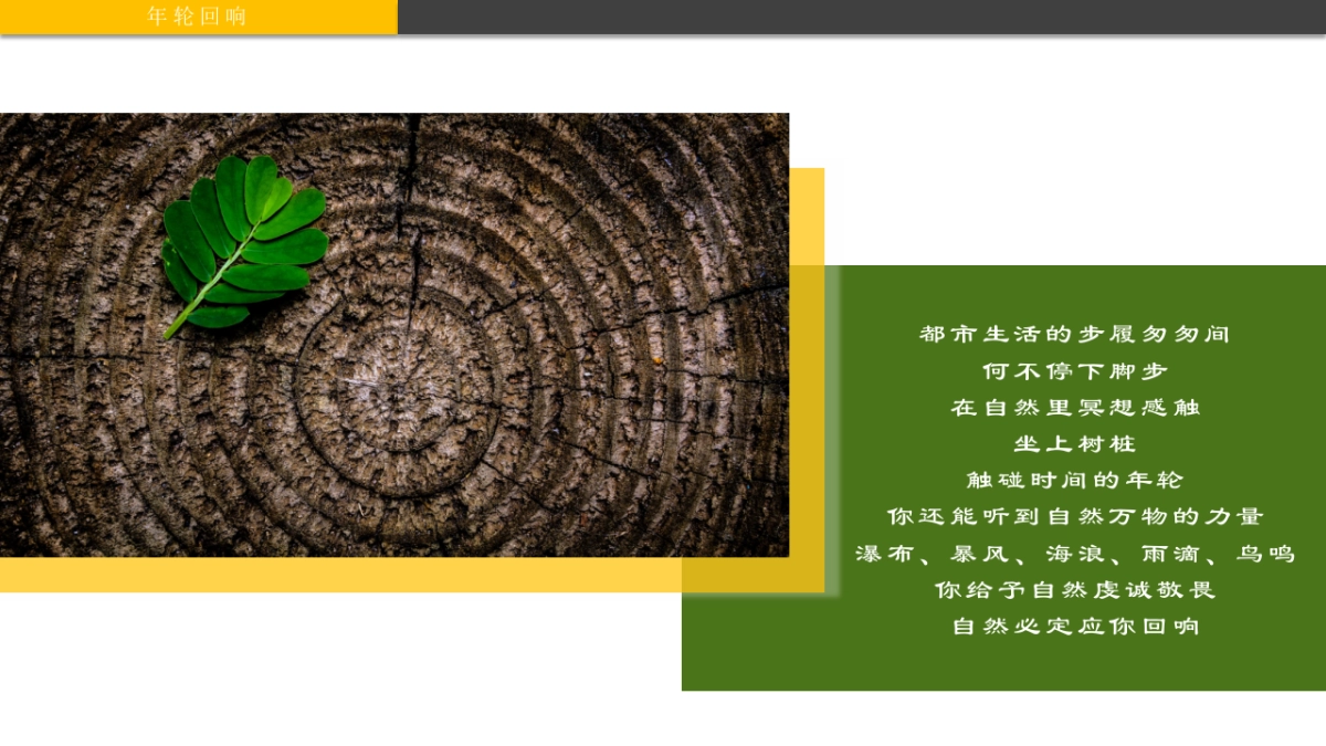 宁波天一国际购物中心春季美陈方案_第8页