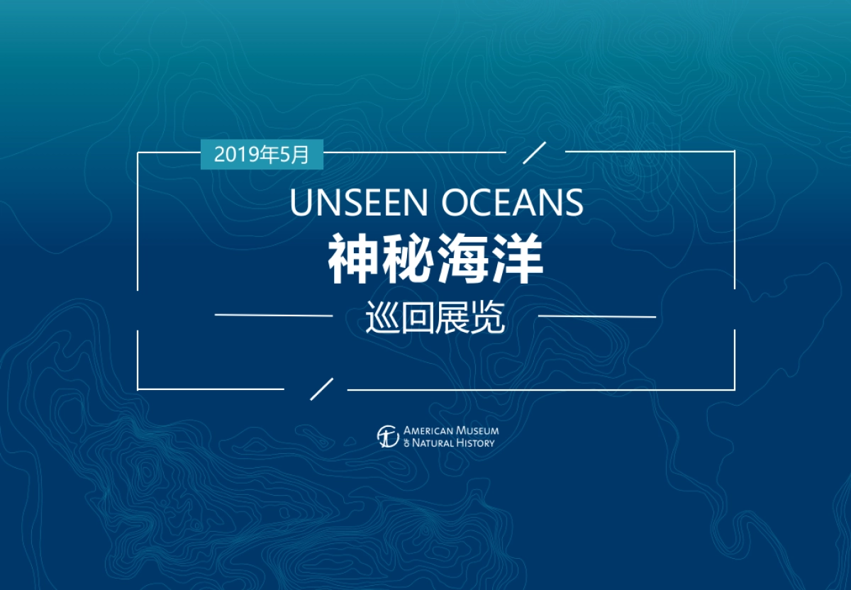 神秘海洋巡回展览动策划方案_第1页