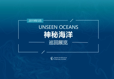神秘海洋巡回展览动策划方案