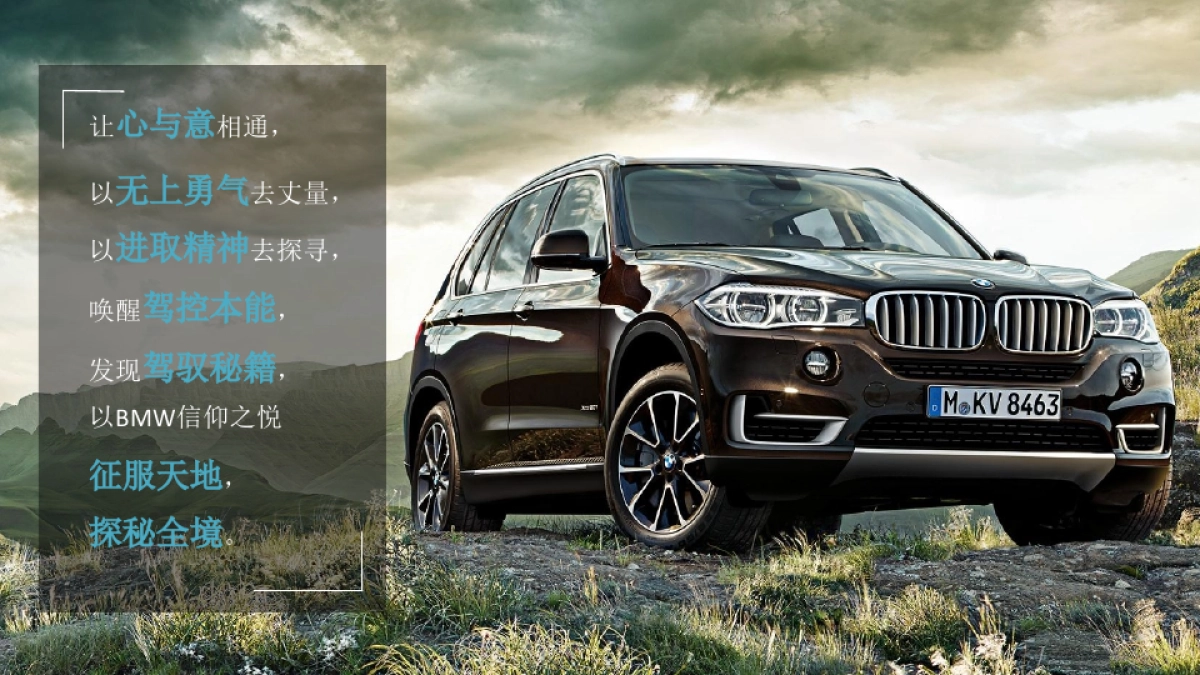 2018宝马BMW X系列品牌传播竞标方案_第10页