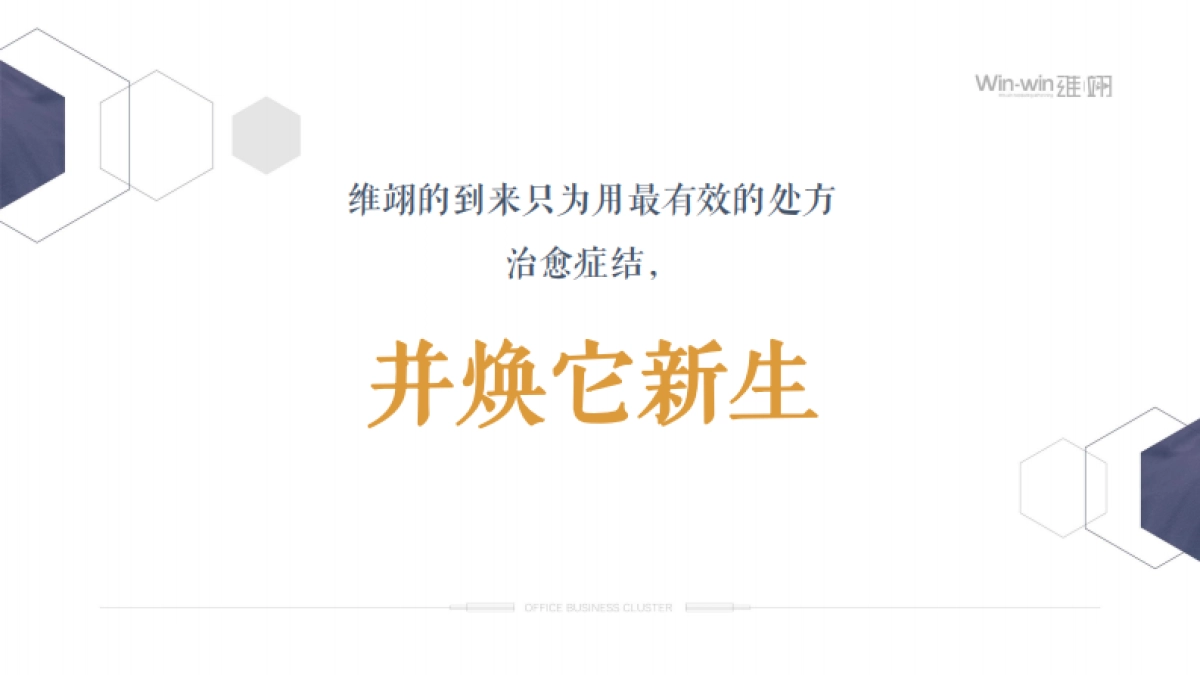 海南自贸港写字楼集群传播策略中标方案-211P_第5页