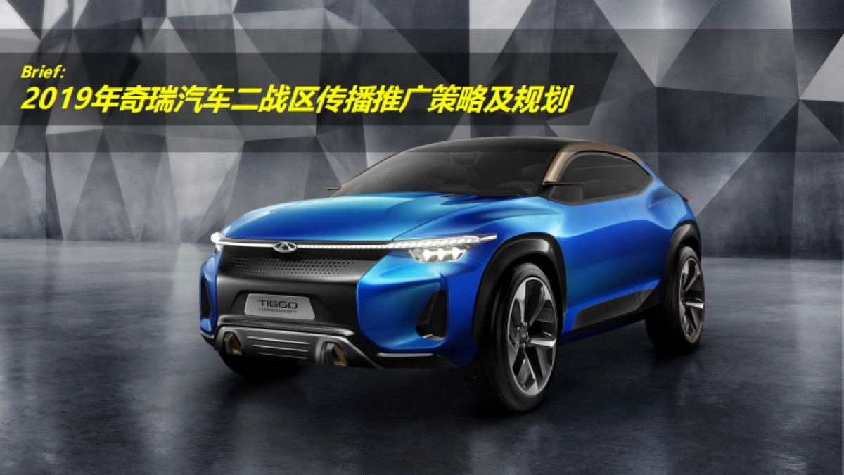 奇瑞二战区竞标案_第6页