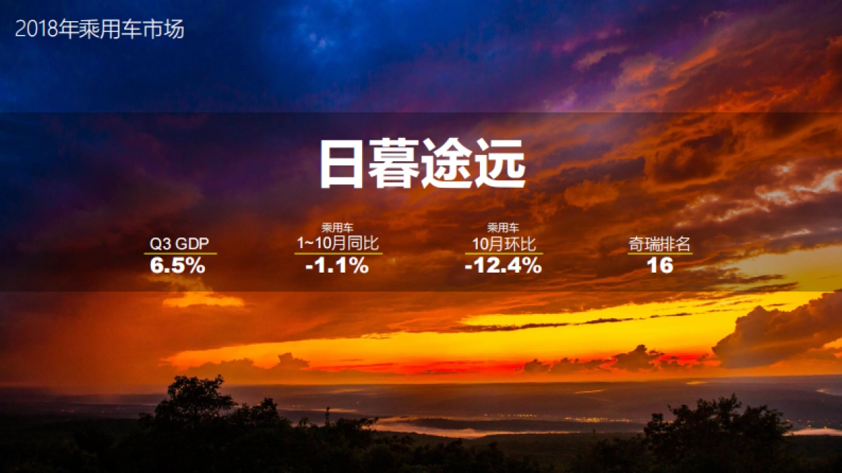 奇瑞二战区竞标案_第7页