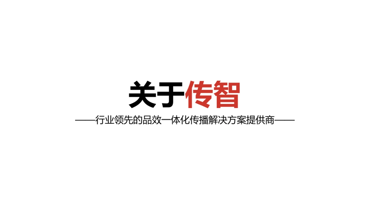 众泰S品牌竞标方案（传智呈送）_第2页
