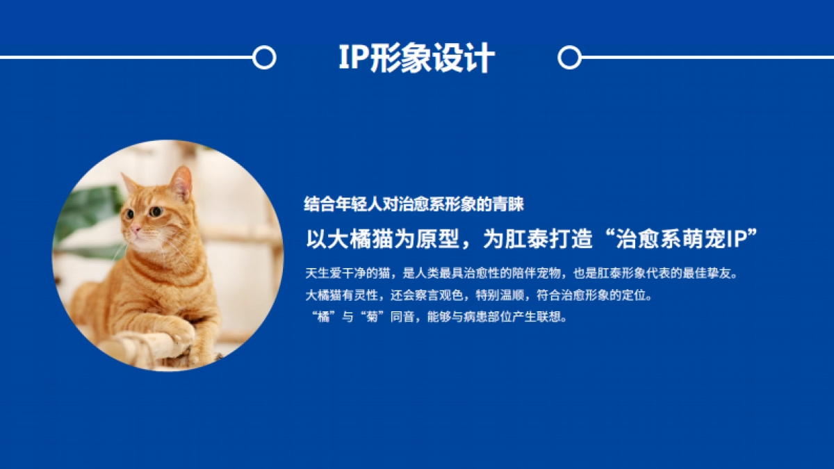 肛泰大橘猫电梯投放结案报告_第6页