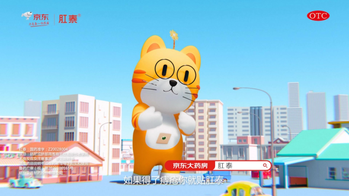 肛泰大橘猫电梯投放结案报告_第8页