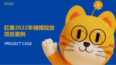 肛泰大橘猫电梯投放结案报告