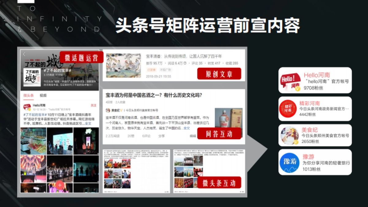 河南宝丰酒业项目结案_第9页