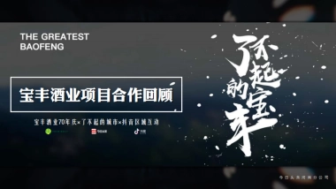 河南宝丰酒业项目结案