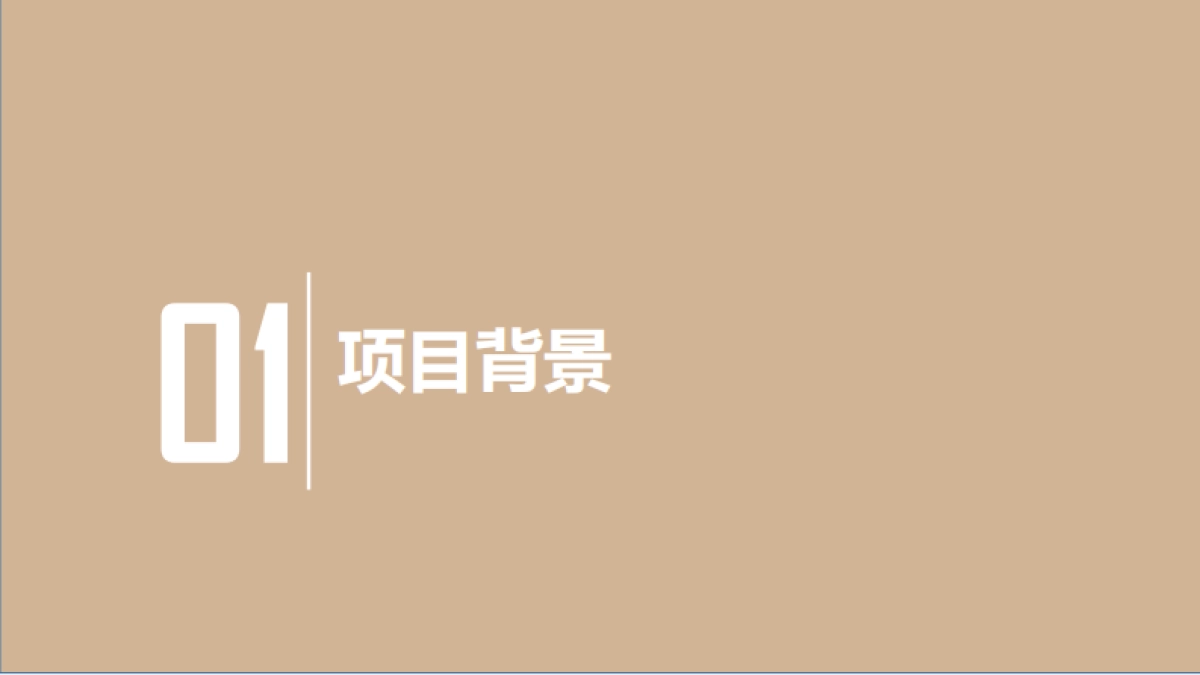 名创优品TFBOYS演唱会赞助项目营销结案_第3页