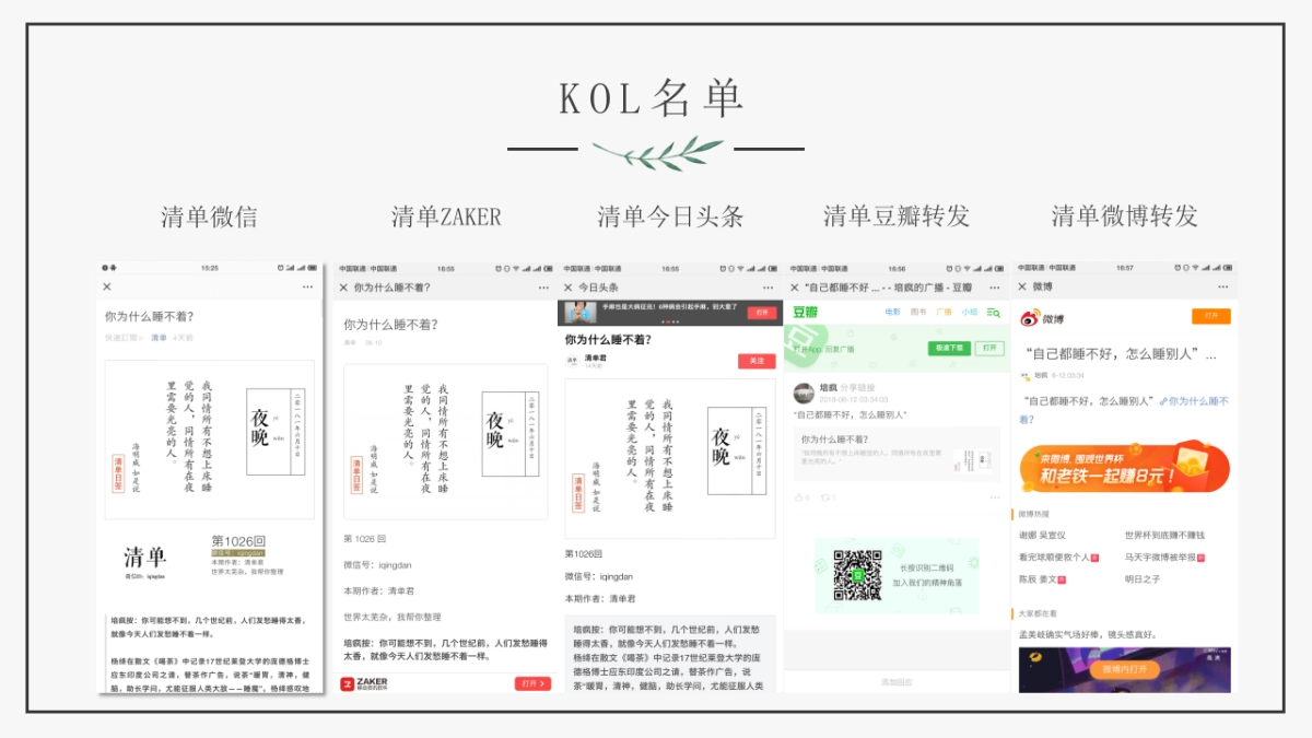 智传媒-寻找梦百合首席体验官推广结案_第10页