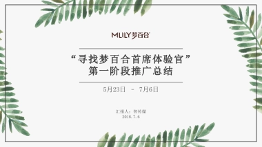 智传媒-寻找梦百合首席体验官推广结案