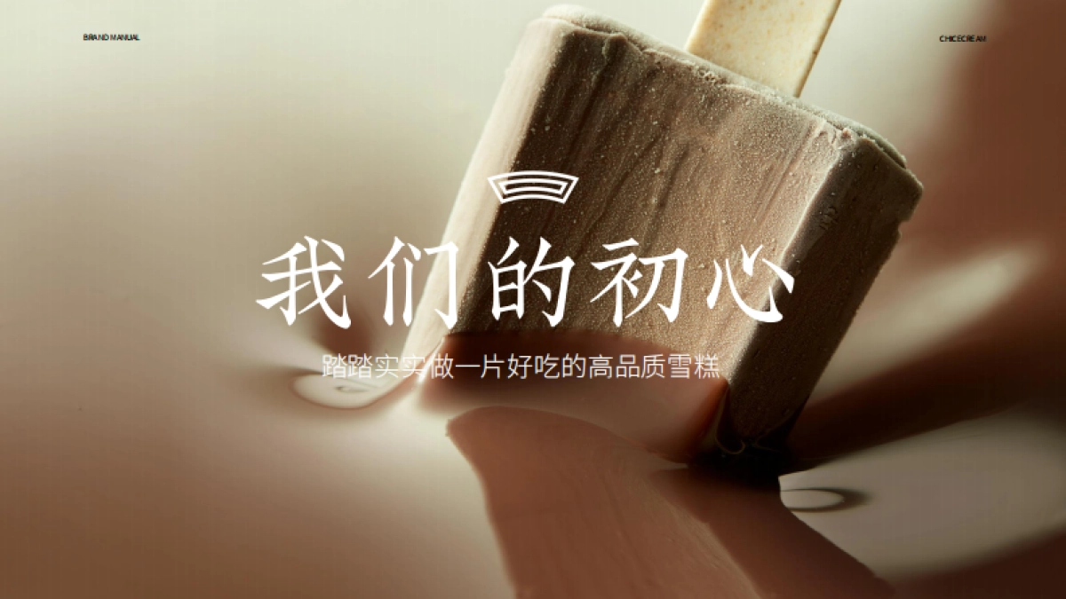 2022钟薛高雪糕品牌手册-36P_第10页