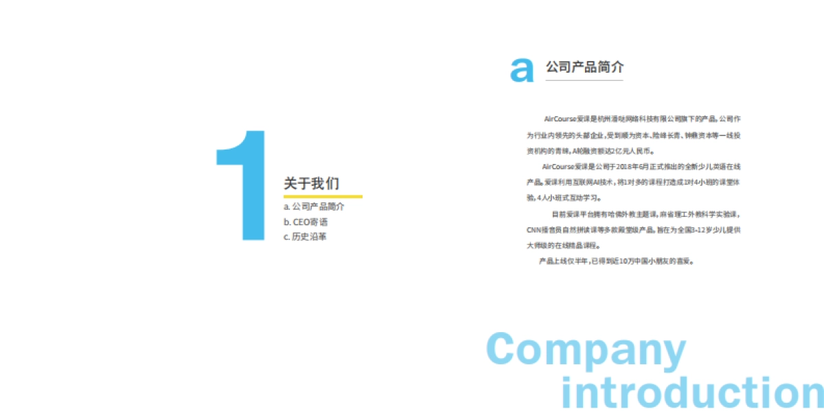 AirCourse在线课堂品牌手册_第4页