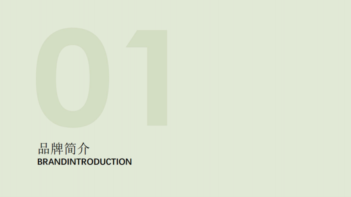 Gonim品牌手册_第3页