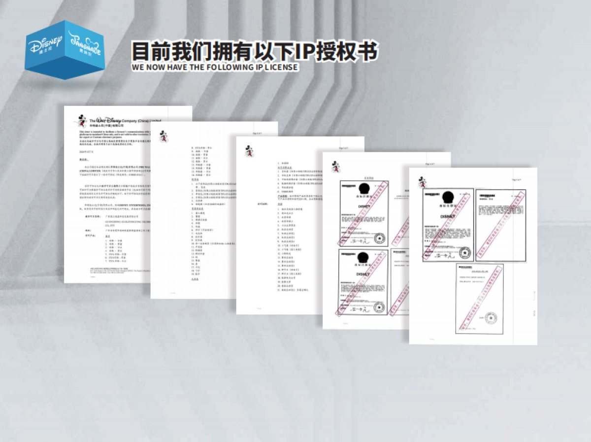 Tangnale迪士尼生活体验馆品牌手册_第6页
