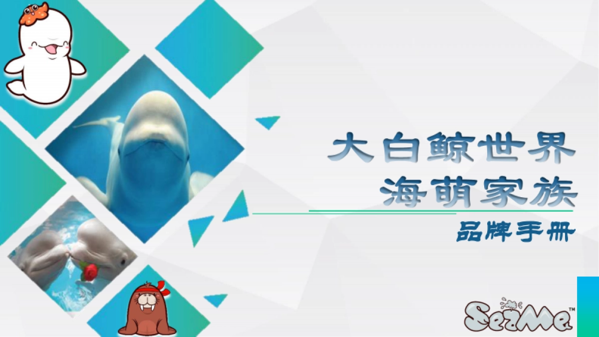 大白鲸世界品牌手册_第1页